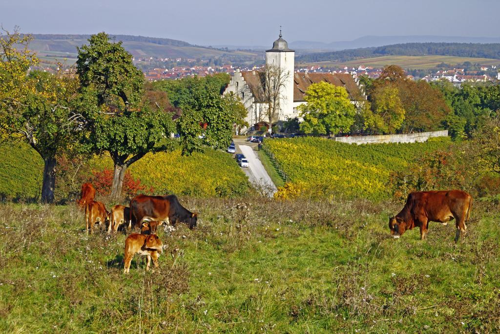 Flair-Hotel Zum Benediktiner Schwarzach am Main Bagian luar foto